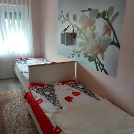 Ria Vendeghaz Apartment Mezokovesd Exterior photo